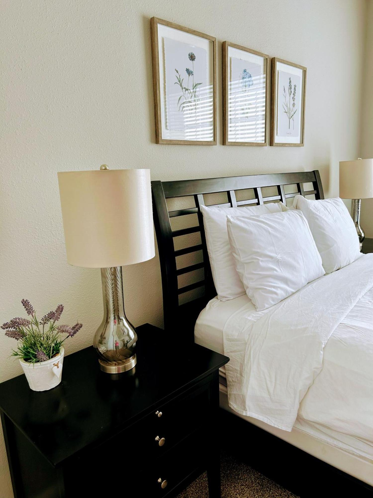 Hidden Gem At Med Center 2Br & 2Ba Apartment Houston Exterior foto